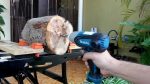 Máy Bắt Vít Makita TD0101